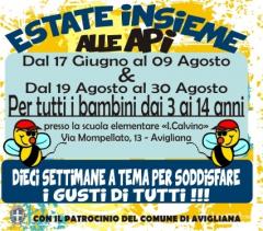 "Estate Insieme alle Api" - centro estivo ad Avigliana