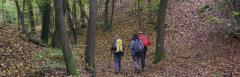 Passeggiata "Santa Vittoria d'Alba tra Arte & Storia" @ domenica 10 novembre - Associazione Culturale Terre Alte
