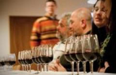 Corso di "Degustazione vini" @ Circolo Arci Bra Uni-Tre