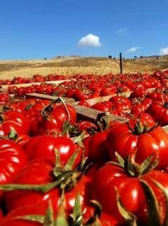 Campi e laboratori antimafia, aperte le iscrizioni per il 2012
