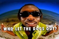 Enter the dog 2018! Capodanno ai Murazzi!