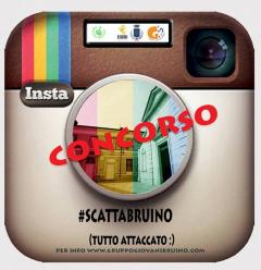 #SCATTABRUINO - concorso fotografico instagram