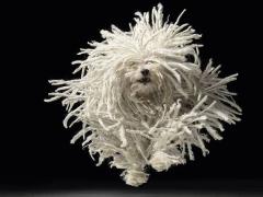 Scambia Roba!\\TantaRoba al Circolo SUD\\Baratto di primavera!