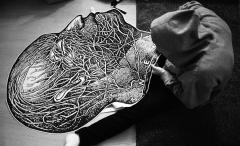 Materia Alternativa. SNEM al Circolo SUD