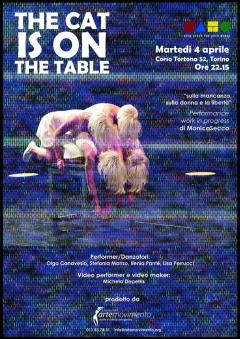  The Cat is on The Table