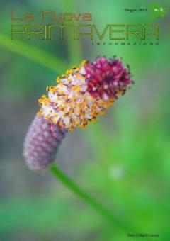 Musica e parole - Reading anni '80