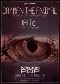 CAYTMAN THE ANIMAL