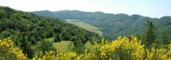 Escursione "In un mondo di… colline" - Perletto - Associazione Culturale Terre Alte