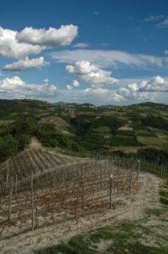 Escursione "L’anello della Lodola" - Castino - Associazione Culturale Terre Alte