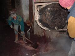  Presentazione del libro "La grappa alla vipera" a cura di Ar.Te.Mu.Da