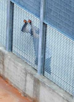 Cena benefit alle Officine Corsare 