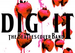 SOCE presenta DIG IT