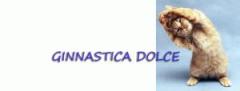 Corso di ginnastica dolce organizzato da Bianconiglio