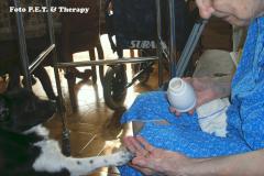 Fine settimana introduttivo ai Programmi Assistiti dagli Animali || Sabato 10 e domenica 11 novembre 2012