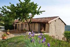 Escursione "Castino: Le colline di Agostino" @ domenica 8 settembre Associazione Culturale Terre Alte