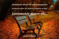 Il borgo che ascolta@idrovolante.to