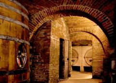 A noi, filibustieri!