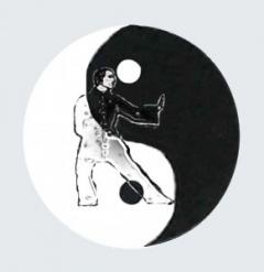 Riprendono i corsi di Ling Tai Chi a cura di Lingshan