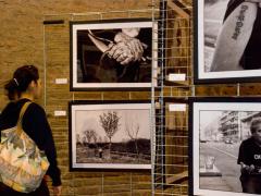 Torino: sguardi su Mirafiori